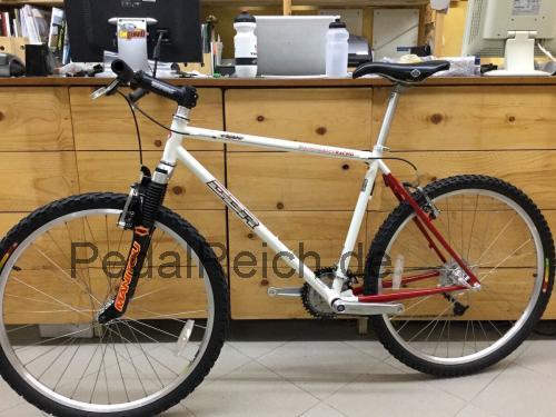 Diamondback Axis  technische daten 